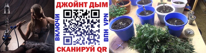 Купить наркоту Конаково блэк спрут ТОР  Галлюциногенные грибы  Меф мяу мяу  ГАШ  Кодеин 