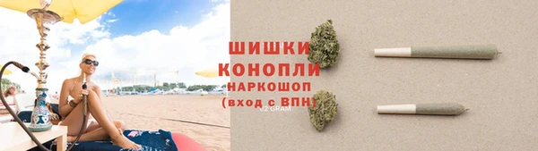 гидра Бронницы