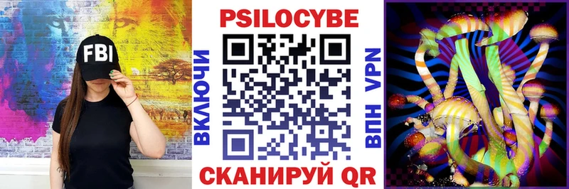 Галлюциногенные грибы Psilocybe  купить закладку  Конаково 