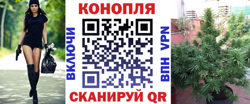 Бошки Шишки план  Конаково 